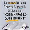 carlo_6f