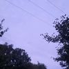 amelia.reill