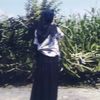 amelia.loverz