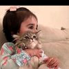 hana.gohar66