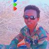 user91353361478521