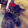 nora_mdg7