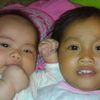 nardikulon2