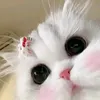 cocailonnecondien