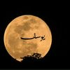 elhadjmarouf0