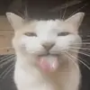 gg728819