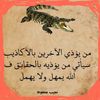user528762054702