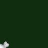waleescv8qn