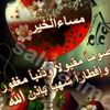 ali.mouhamd00