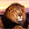 abdifatah.hassan531