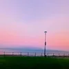 jd_15460