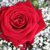 user8881146198846