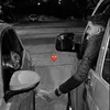 rose_20297
