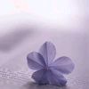 arishajannat10323