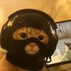 cat1uv4r