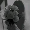 darinabrahim320