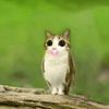 sqwwiik