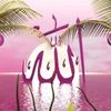 mohamedbasem6071