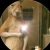 mendez_jav