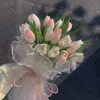 tulip6630