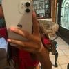 paula_34p10