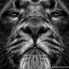 john.milcar.pompi1