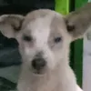 trn.ng.qunh.trn