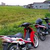 f1zr_merahputih