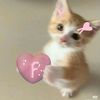 its_fara42