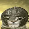 nando.kkj8