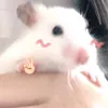 mimi.cute599