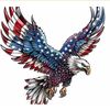 amir.saed480