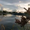 Quách Bắc