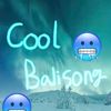 🥶Cool Balisong