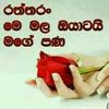 user337553175957