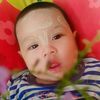 yzar8278ht2