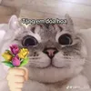 notecap27