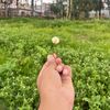 kavin_aka_