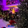 nastka_2129