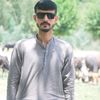 shaheen.shah4950