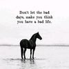 dark.hose23