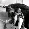 sporthorsesforlive