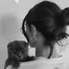 t0._.q0