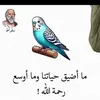user41252886538195