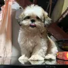 vanzures_23