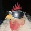 rexabrogina_1