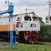 Railfans_D7KD