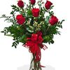shafiq.khan3701