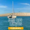 user812663908