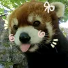 enjii.wly